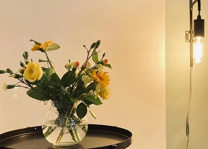 Le N°8 - Au Coeur De Barcelonnette